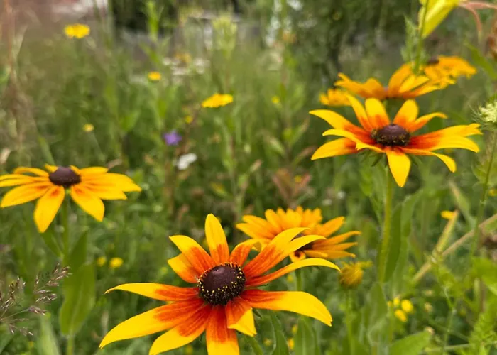 Glamping Park * Mönichkirchen